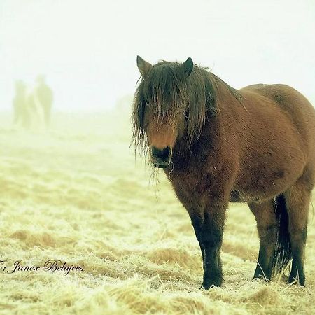 Efri-Gegnisholar Otel Selfoss Dış mekan fotoğraf