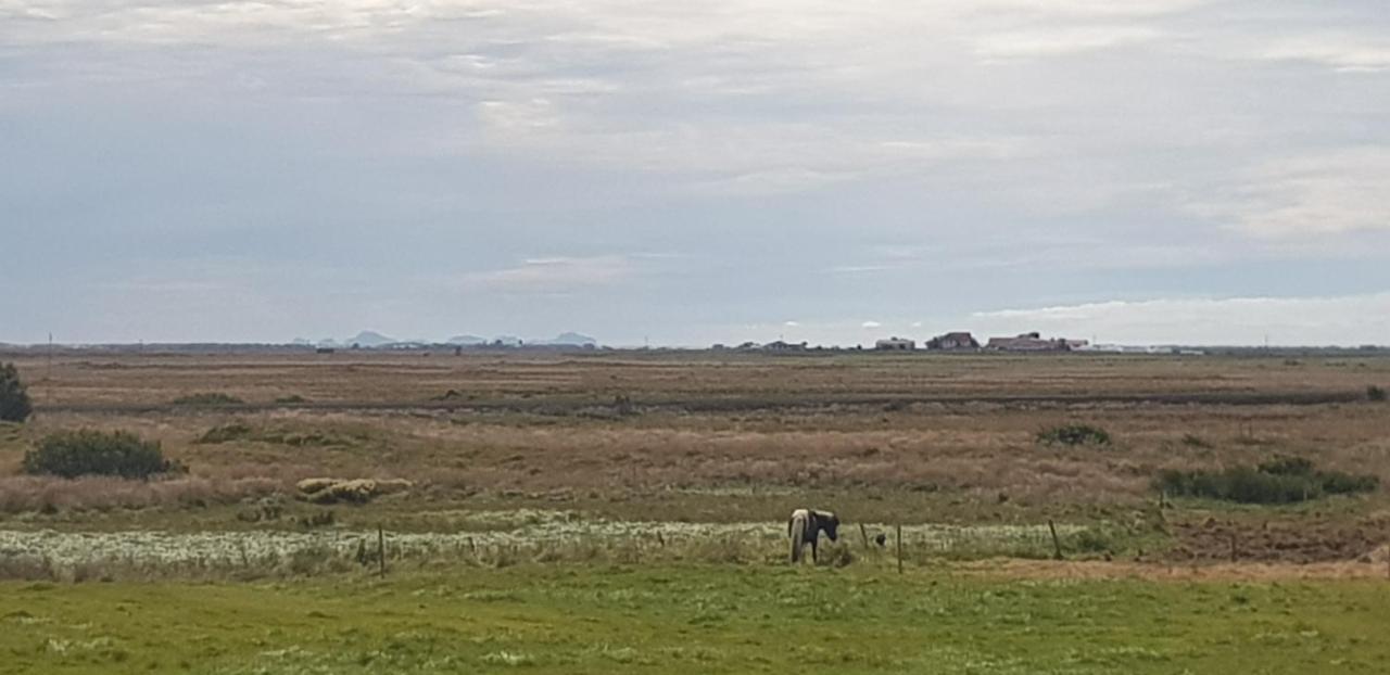 Efri-Gegnisholar Otel Selfoss Dış mekan fotoğraf