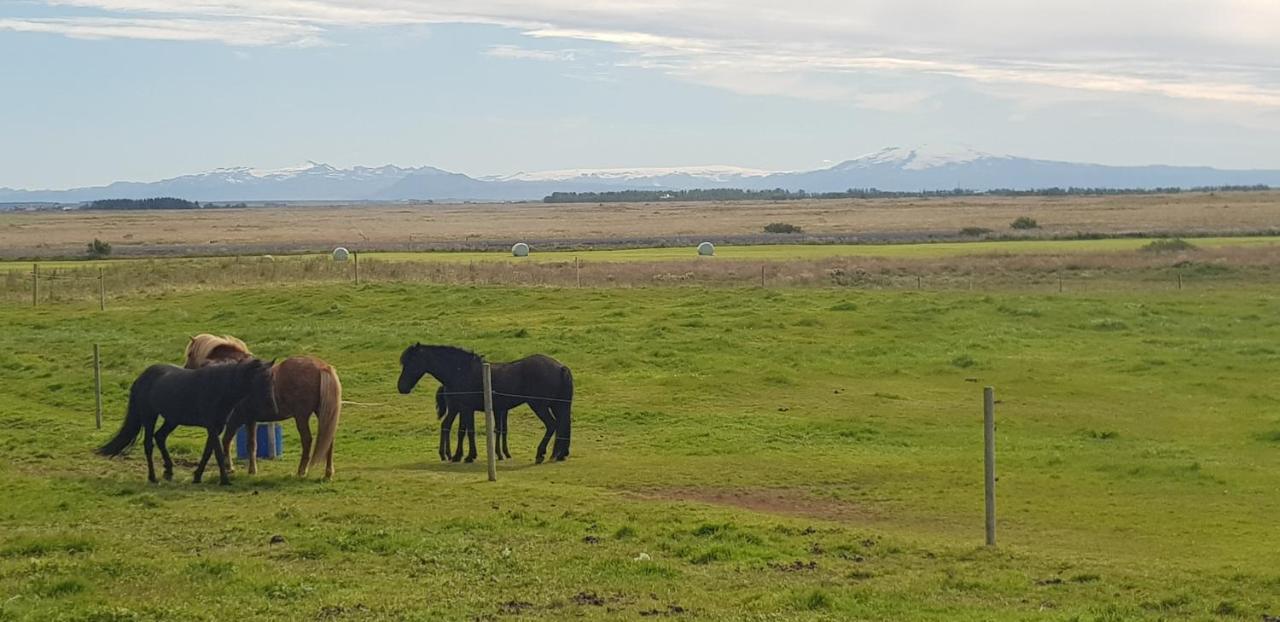 Efri-Gegnisholar Otel Selfoss Dış mekan fotoğraf