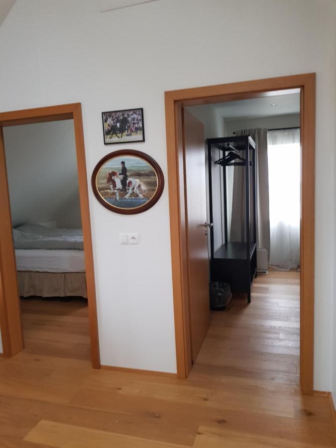 Efri-Gegnisholar Otel Selfoss Dış mekan fotoğraf